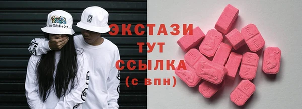 индика Великий Новгород