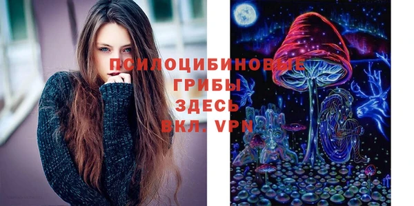 сатива Лабытнанги