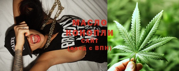 сатива Лабытнанги