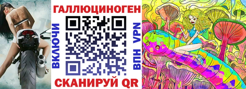 Галлюциногенные грибы Psilocybe  Медвежьегорск 